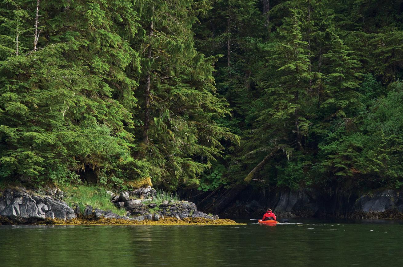 scuba diving british columbia