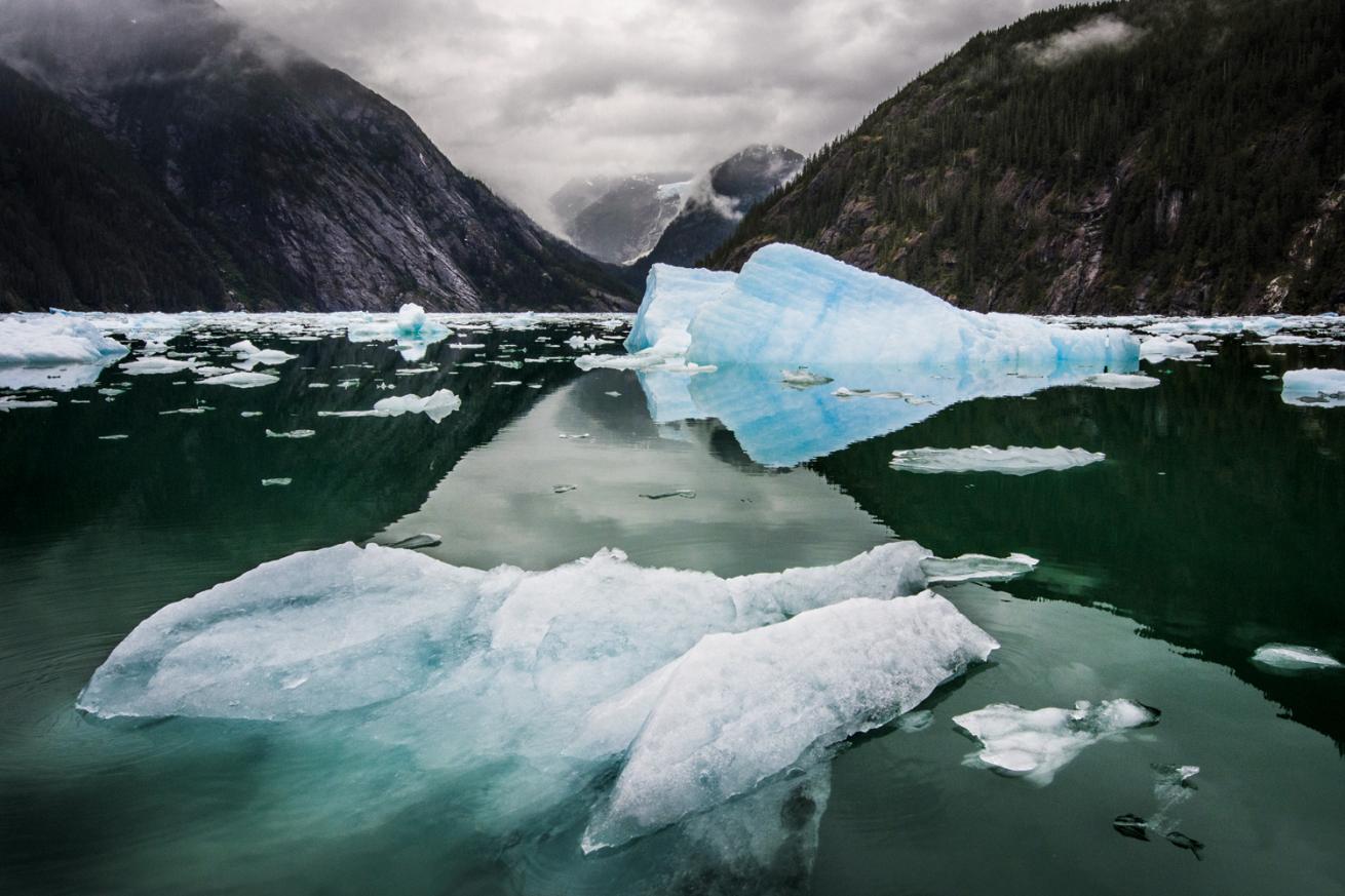 icebergs