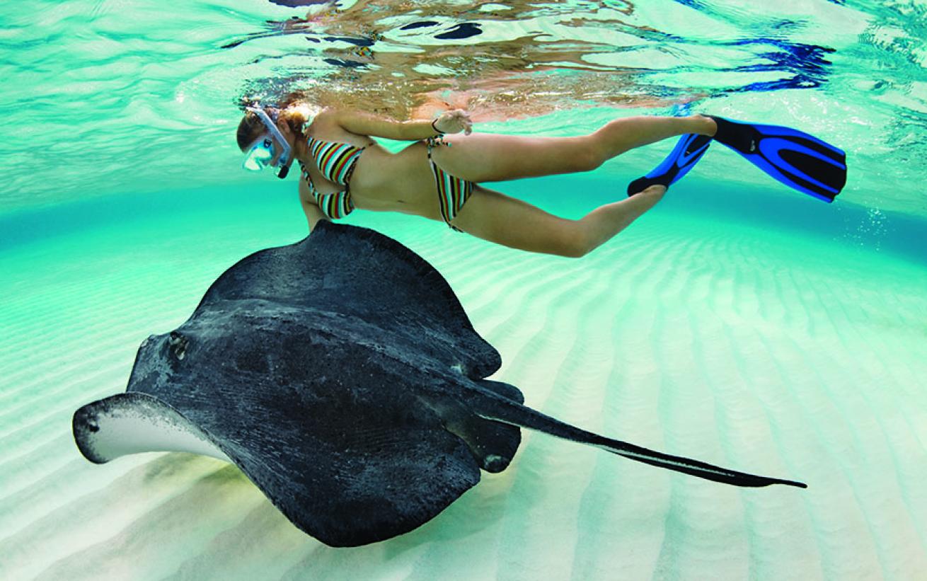 Snorkeling in Grand Cayman: Stingray City