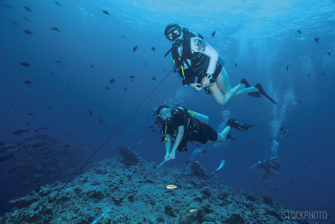 palau blue corner scuba