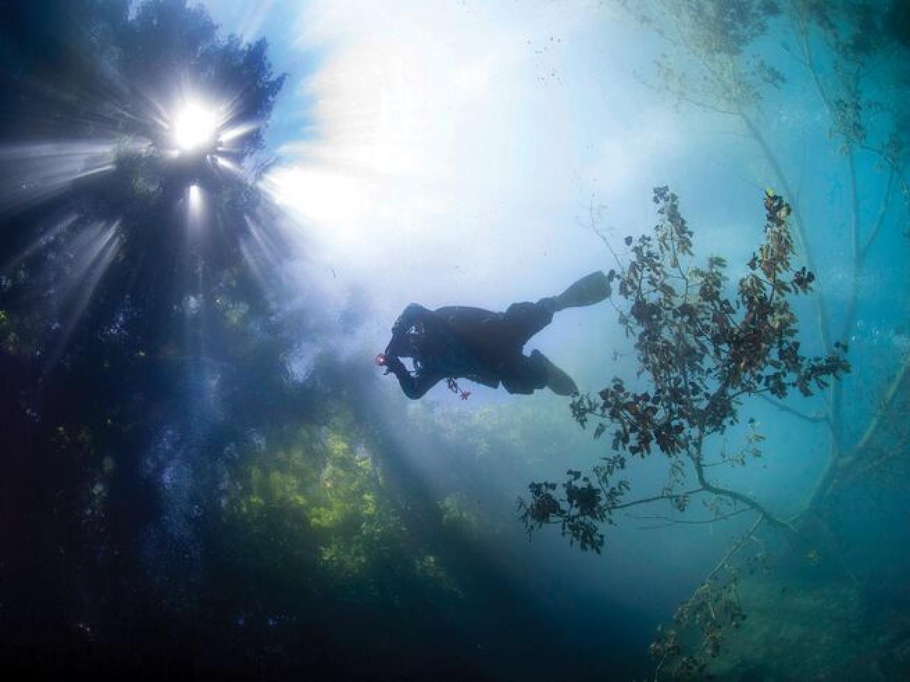 At Pennsylvania’s Dutch Springs, water clarity is so good at times that you can see leaves on the trees from 30 feet below.