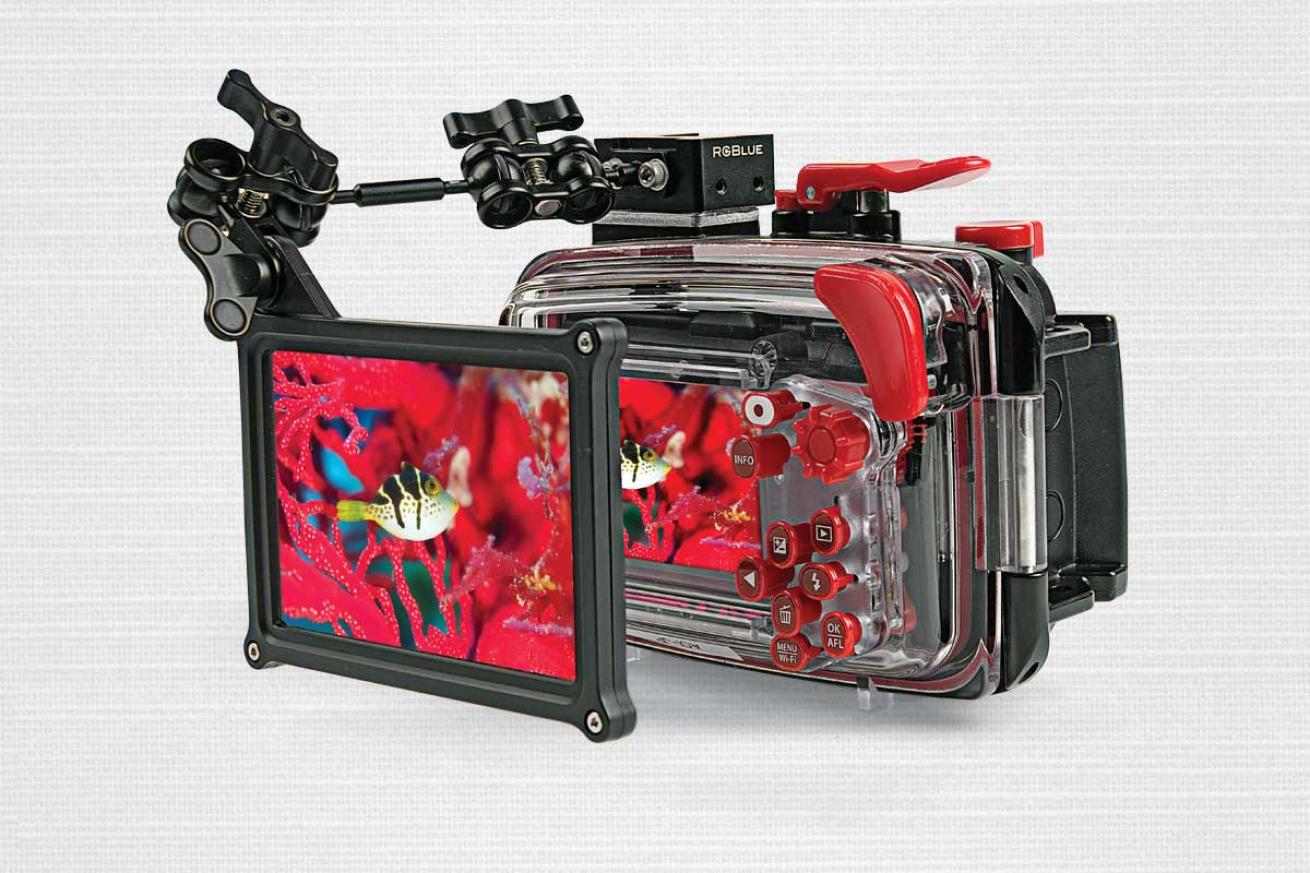 **BACKSCATTER AOI SCREEN MAGNIFIER**