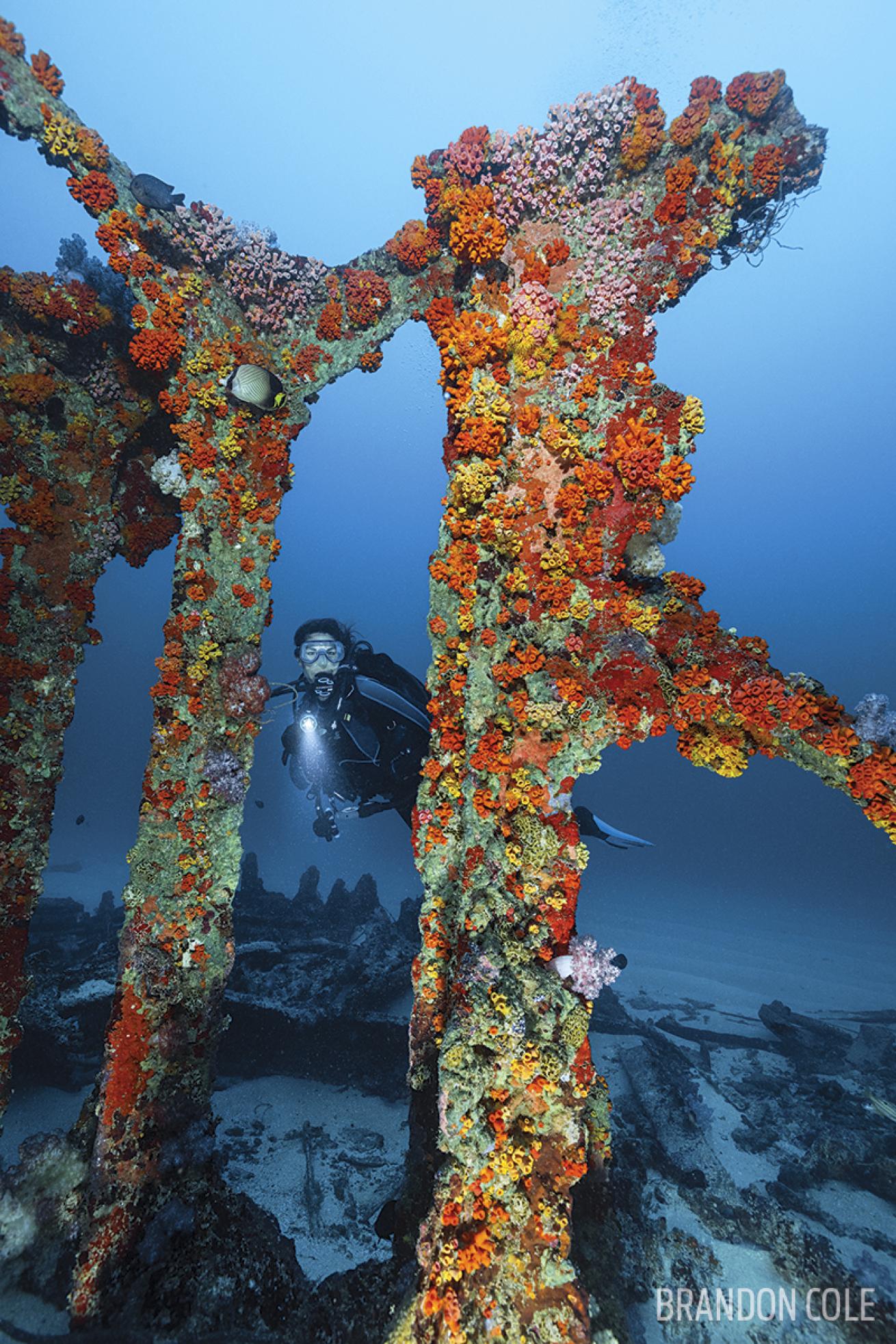 sri lanka shipwreck diving