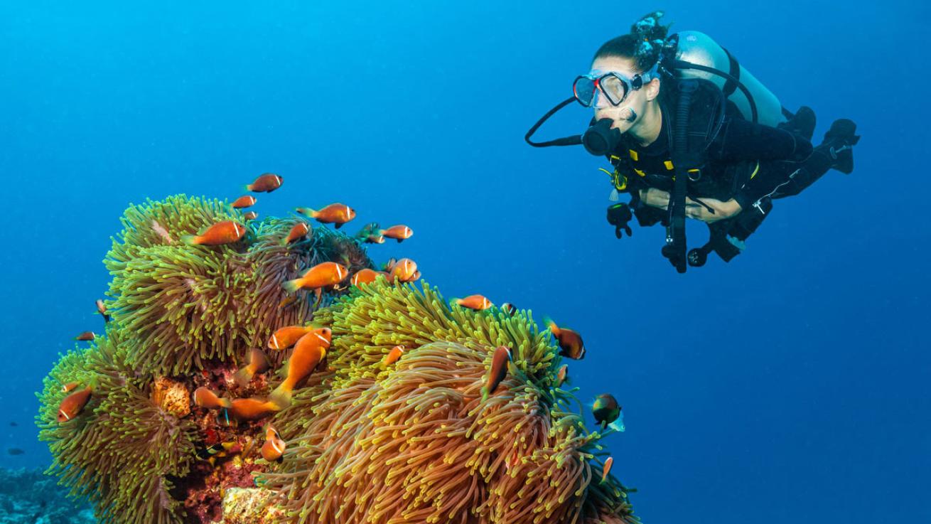 neutral buoyancy