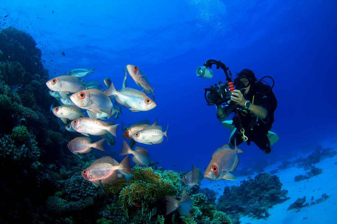 underwater photography camera tips