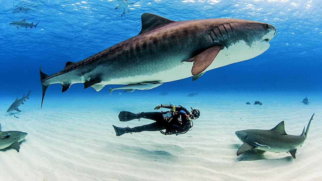 women's diving day