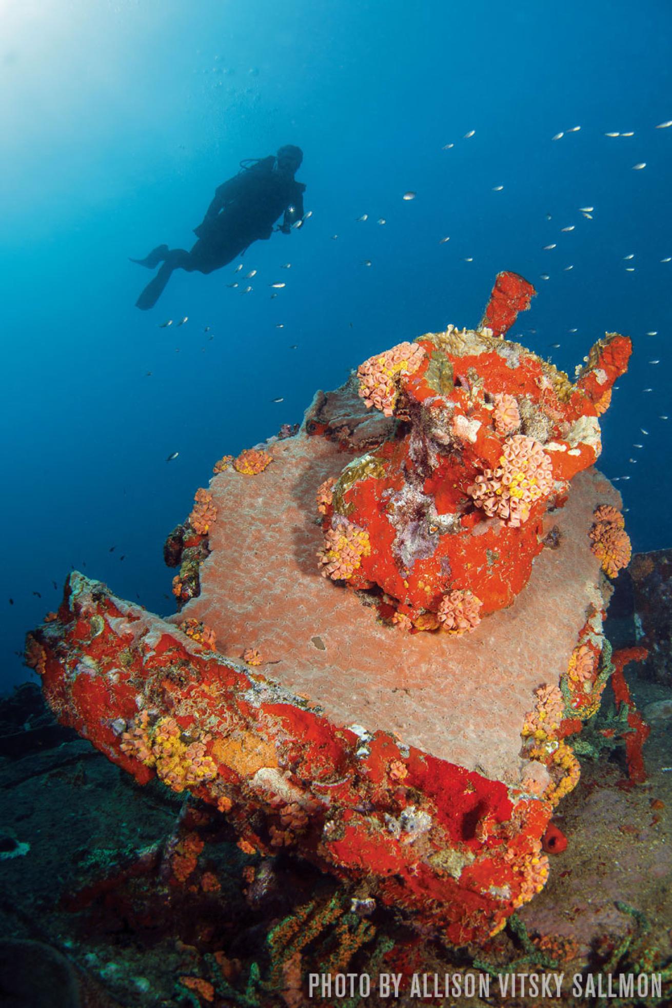 Scuba diving wreck Grenada Veronica L.