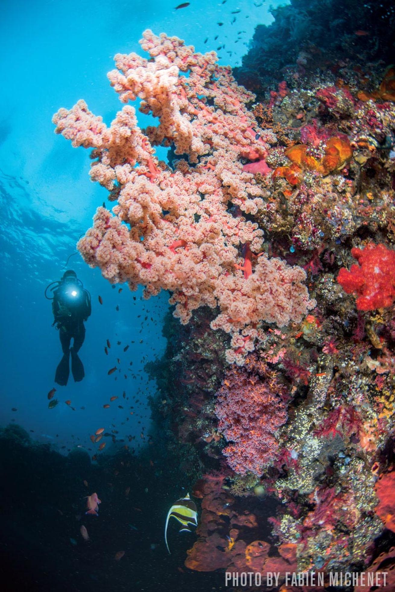 Bali scuba diving wreck USAT Liberty