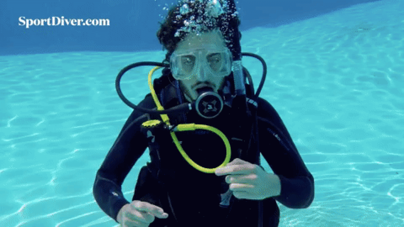 scuba hand signals funny