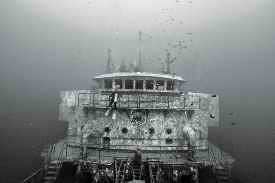 Diving the Reefs and Wrecks of Greater Fort Lauderdale Scuba Diving