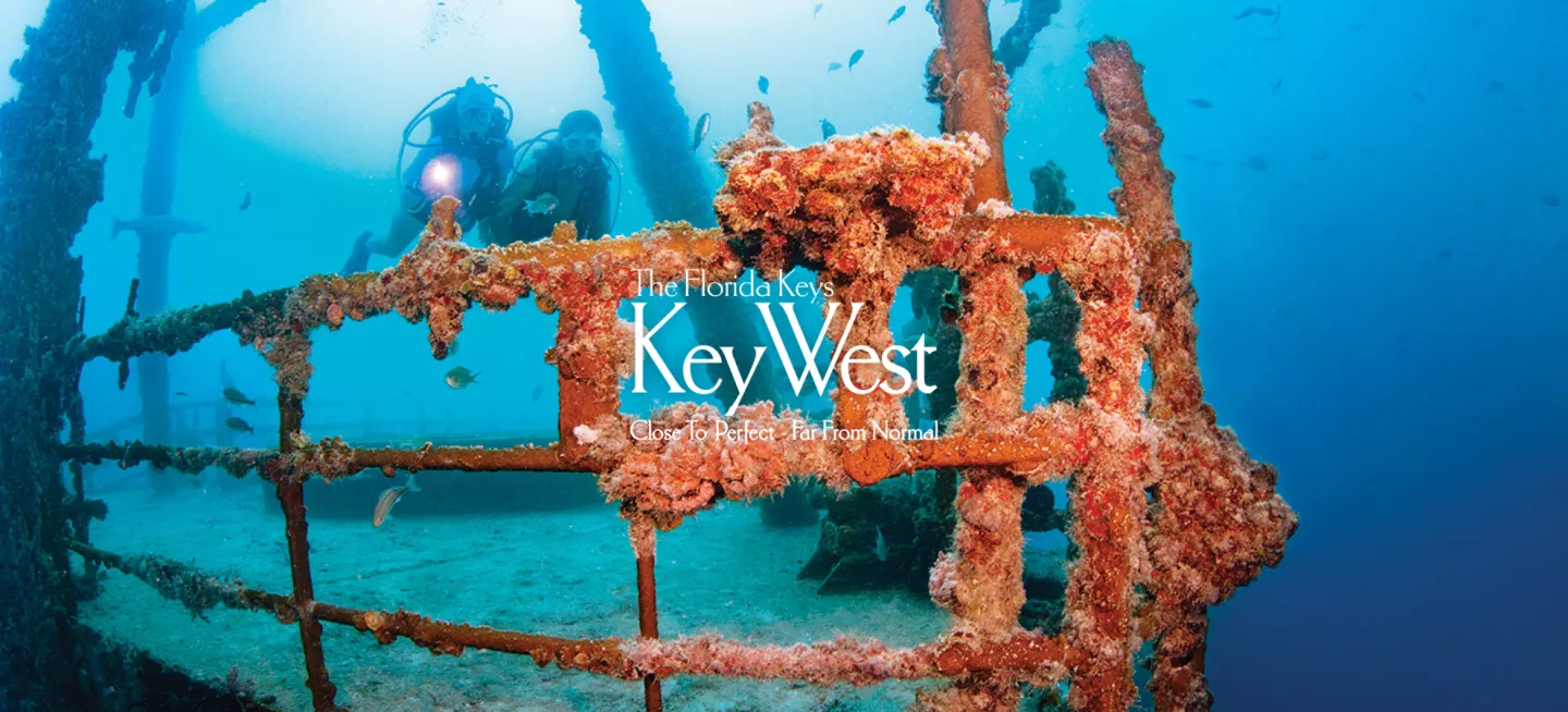 diver on a wreck