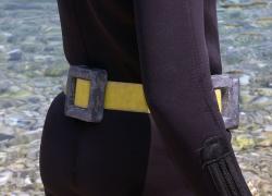 diving weights