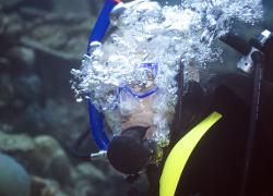 free flowing regulator