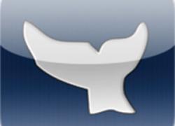 whale guide app