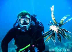 lionfish removal awareness tournament florida fwc spear