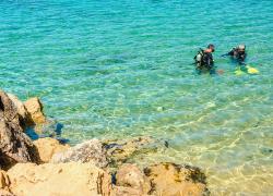 diving regulators