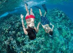 Snorkeling free diving Hawaii