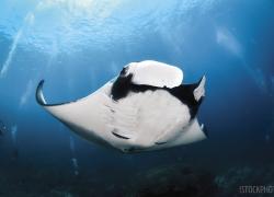 scuba diving experience rankings
