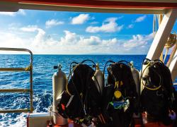 scuba diving liveaboard guide