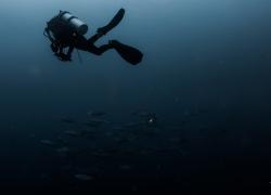 tips for lost diver