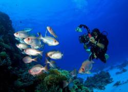 underwater photography camera tips