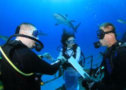 Bahamas underwater wedding