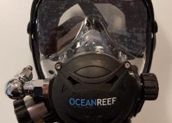 Ocean Reef Recall